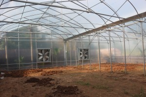 Hạn chế sự gia tăng nhiệt và làm giảm nhiệt độ trong nhà kính, nhà màng nông nghiệp bằng cách nào ? (Phần 2)